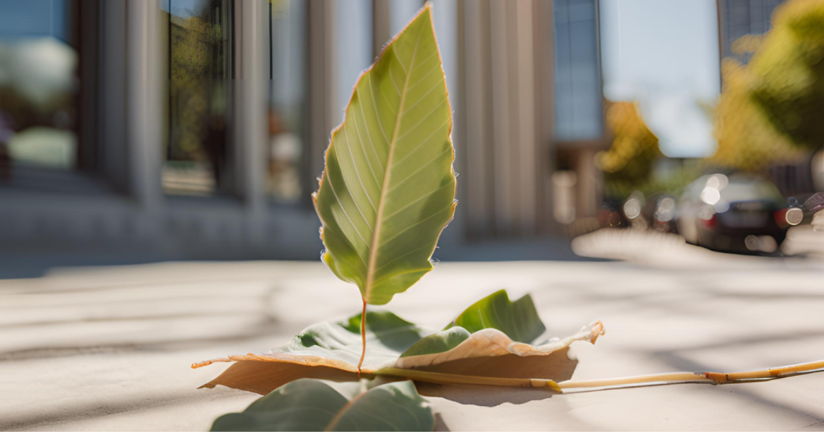 Embracing ESG | Sustainable Growth for Businesses in Cyprus