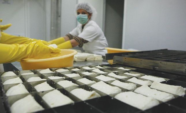 EC approves €890,000 scheme to support Cypriot halloumi makers