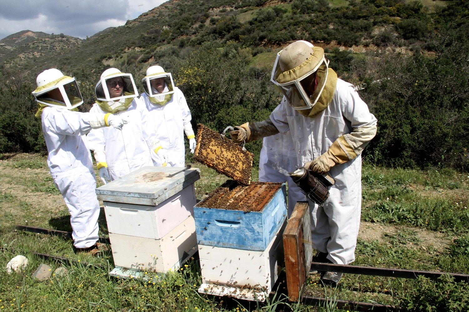 Larnaca’s bee villages seek to attract more visitors