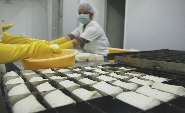 Halloumi production and distribution unaffected by war