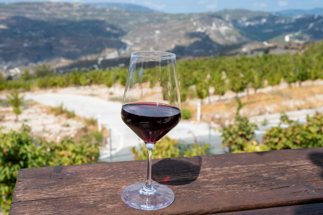 Paphos joins European push to boost wine and food tourism