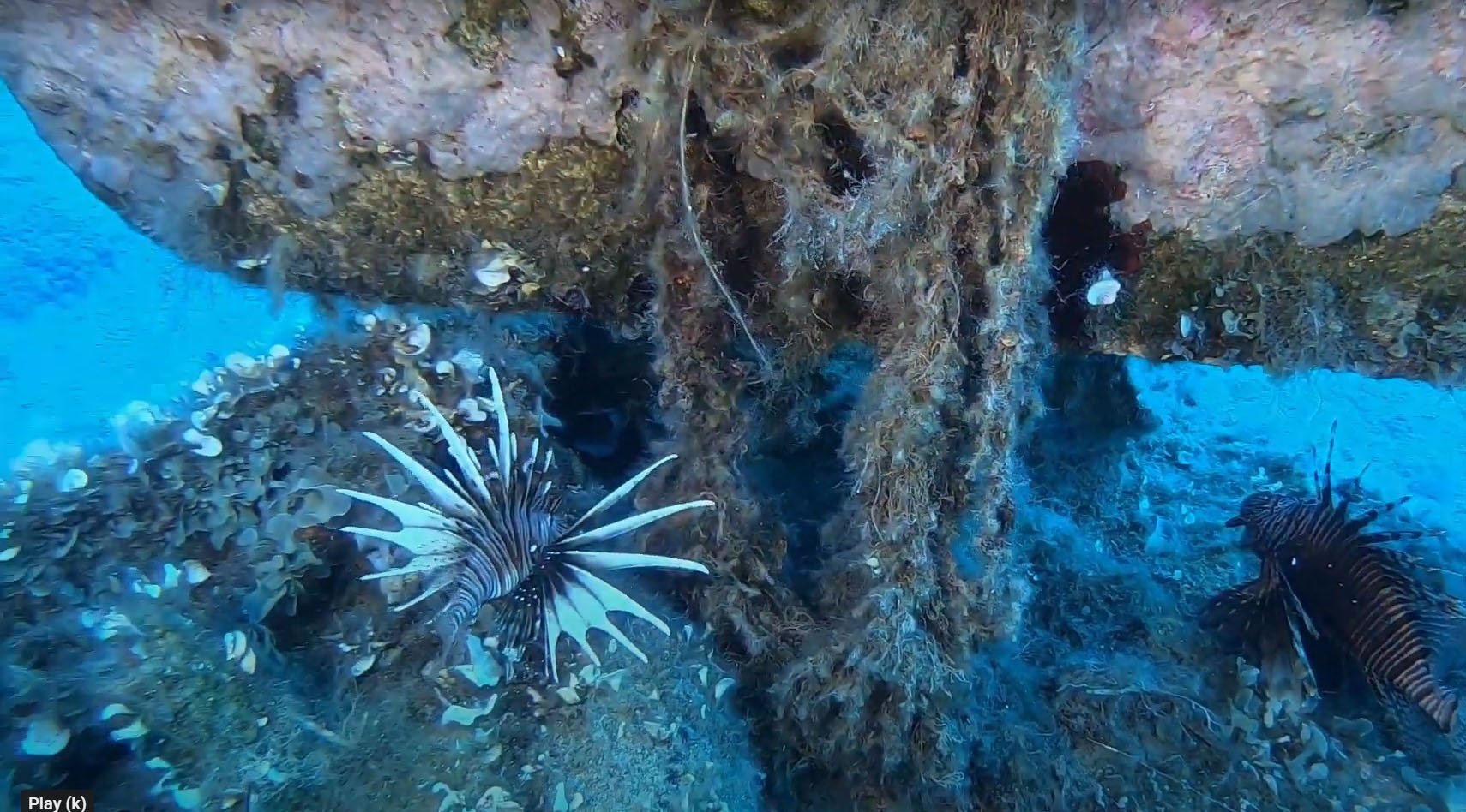 Larnaca shows off its underwater treasures in new video