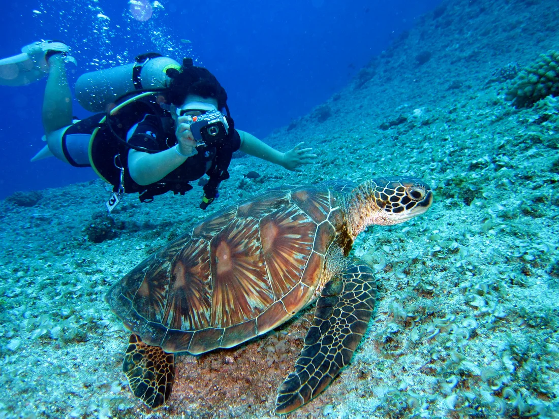 Cyprus maps out ambitious future for diving tourism